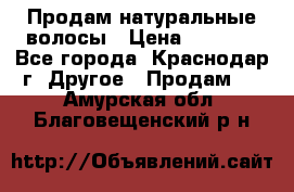 Продам натуральные волосы › Цена ­ 3 000 - Все города, Краснодар г. Другое » Продам   . Амурская обл.,Благовещенский р-н